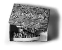 Savanna Sneaker